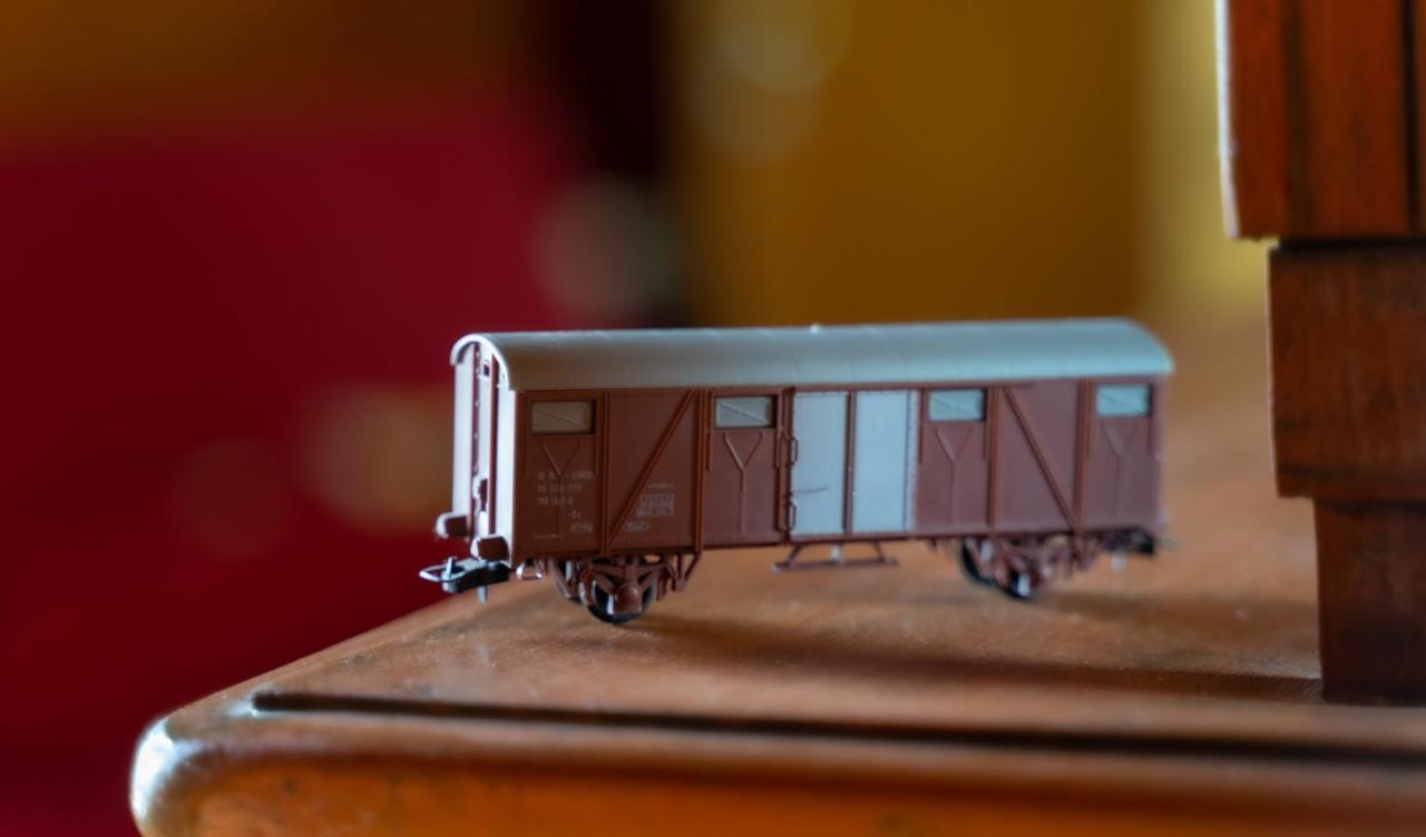 Train In The Forest Aridaia Exterior photo